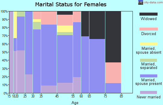 Homestead Meadows North marital status for females