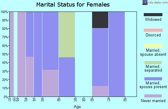 Owl Ranch-Amargosa marital status for females