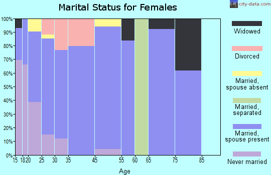 Palmview marital status for females