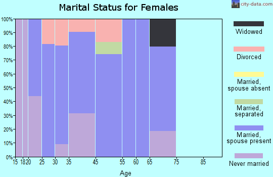 Porter Heights marital status for females