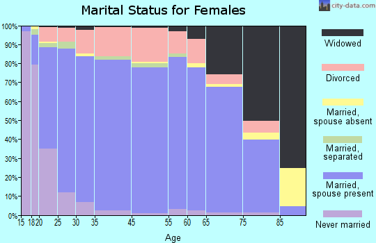 Brigham City marital status for females