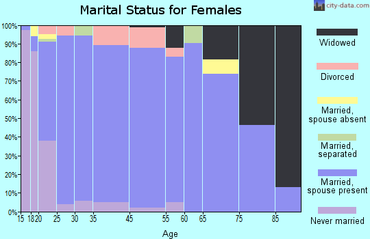 Lewiston marital status for females