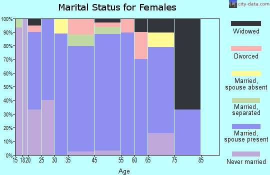 Spring City marital status for females