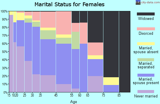 Bull Run marital status for females