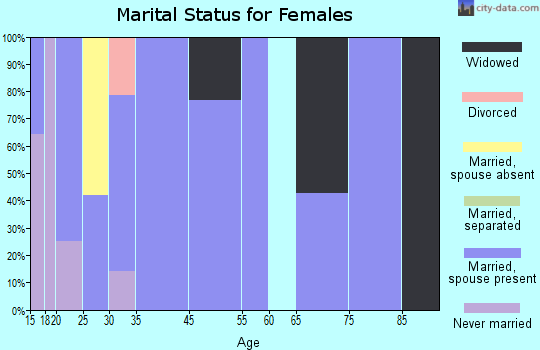 Basin City marital status for females