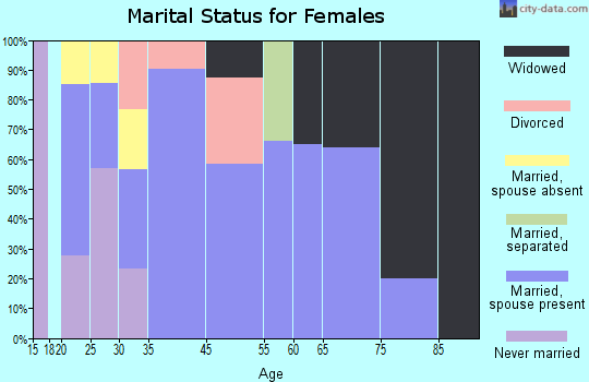 Big Lake marital status for females