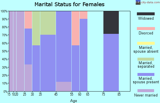 Rock River marital status for females