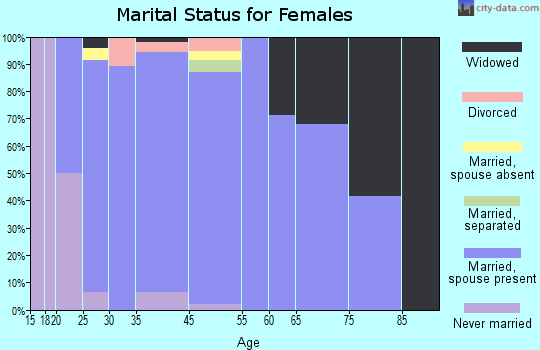 Lake View marital status for females