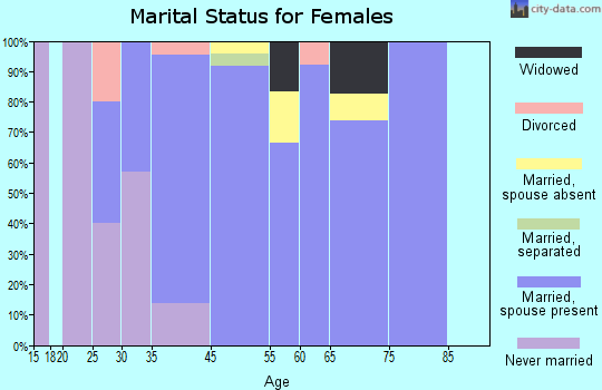 Loghill Village marital status for females