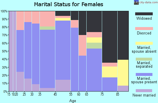 Salmon Brook marital status for females