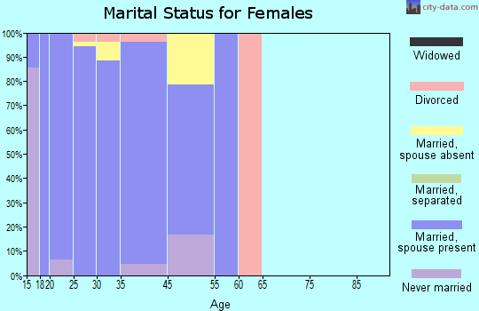 Dover Base Housing marital status for females