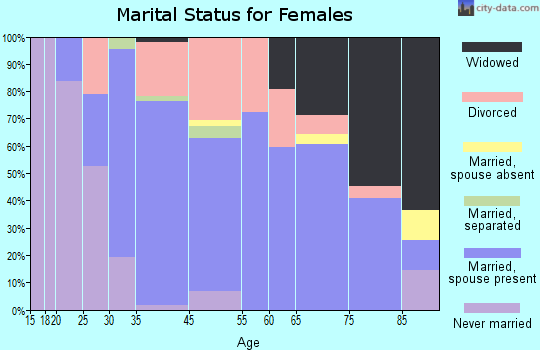 Bay Pines marital status for females