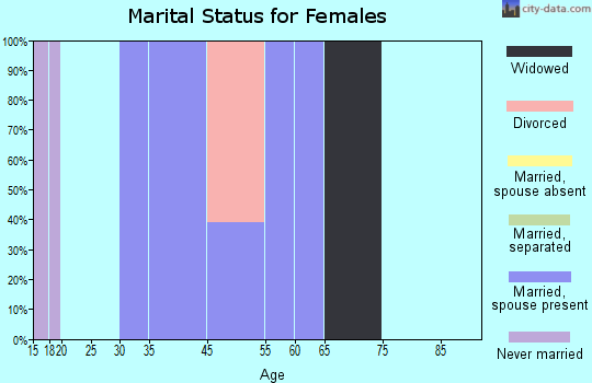 Ferndale marital status for females