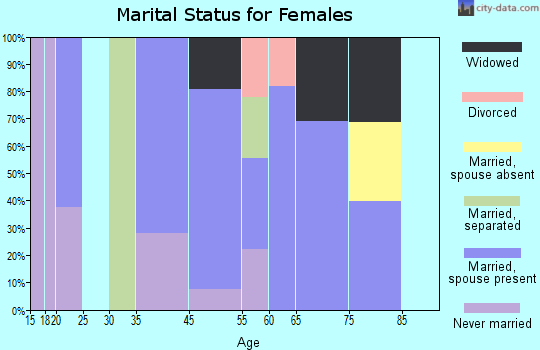 Rio marital status for females