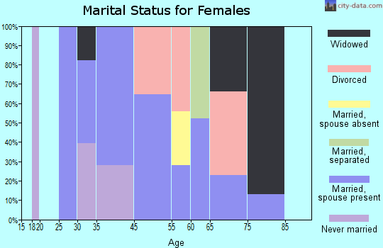 Village Park marital status for females