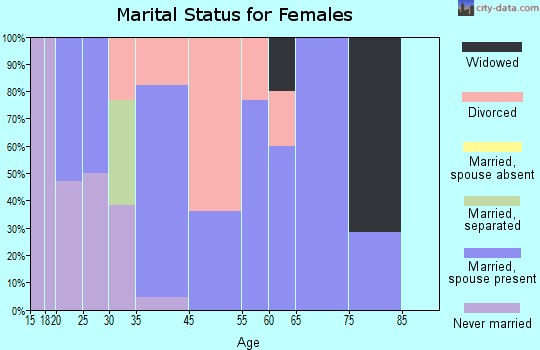 Idaho City marital status for females