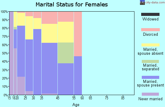 Mountain Home AFB marital status for females
