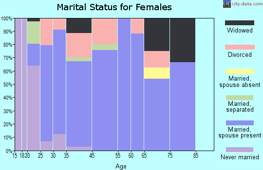 Braceville marital status for females