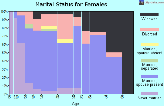 Cerro Gordo marital status for females
