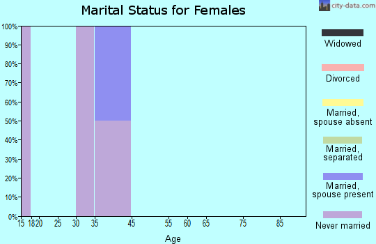 Birch Creek marital status for females