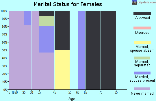 Brevig Mission marital status for females