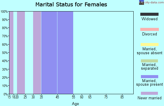 Chignik Lagoon marital status for females