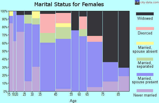 Fairmont City marital status for females
