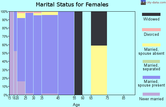 Eielson AFB marital status for females
