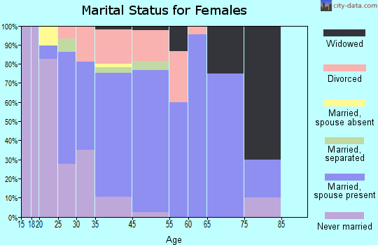 Houston marital status for females