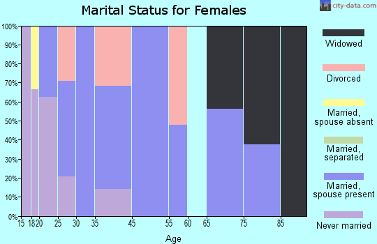 Lake Village marital status for females