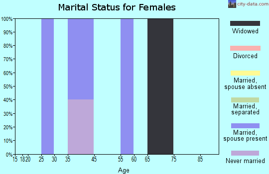 Lake Minchumina marital status for females