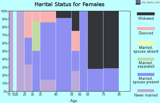 Decatur City marital status for females