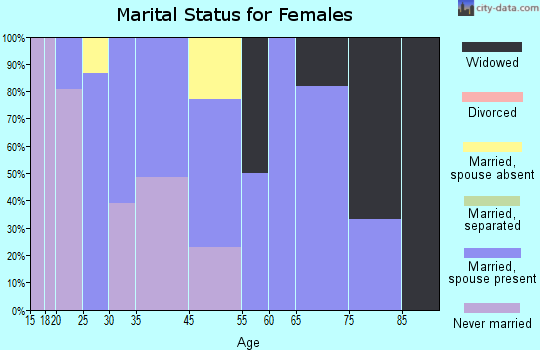 Noorvik marital status for females
