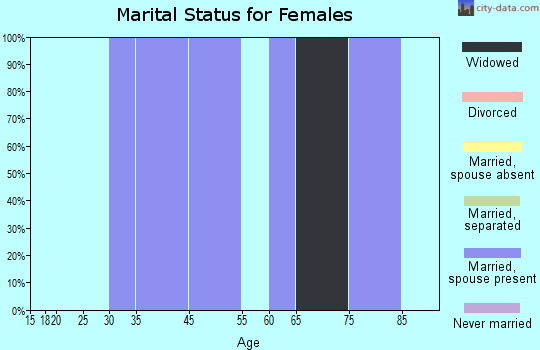 Jackson Junction marital status for females