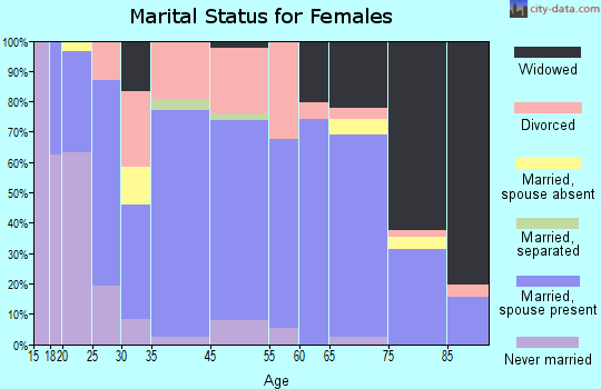 Lake View marital status for females