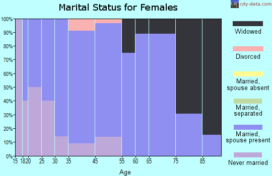 Little Rock marital status for females