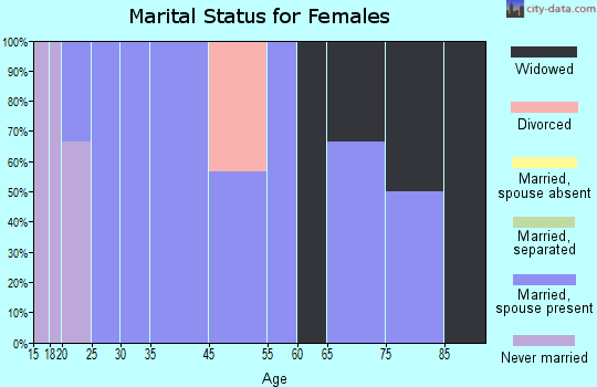 Rembrandt marital status for females