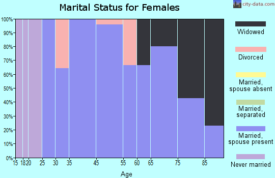 Silver City marital status for females