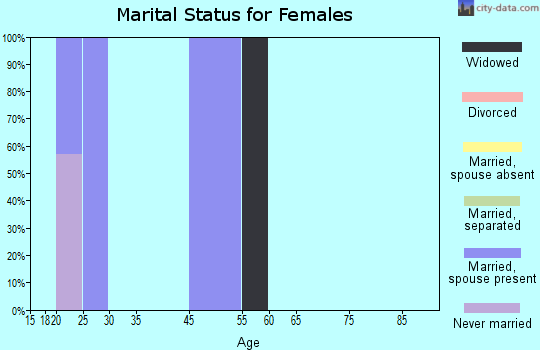 Stony River marital status for females