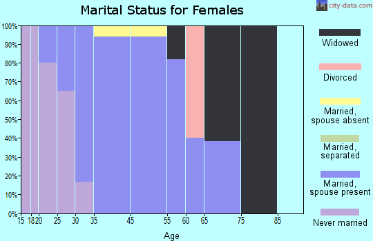 Toksook Bay marital status for females