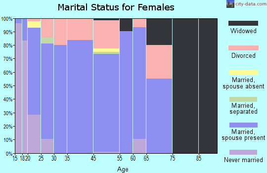 Bagdad marital status for females
