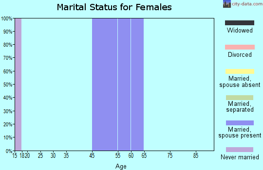 Willowbrook marital status for females
