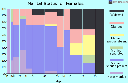Coal Run Village marital status for females