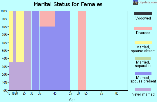 Chilchinbito marital status for females