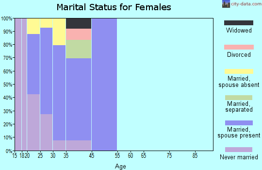 Brunswick Station marital status for females