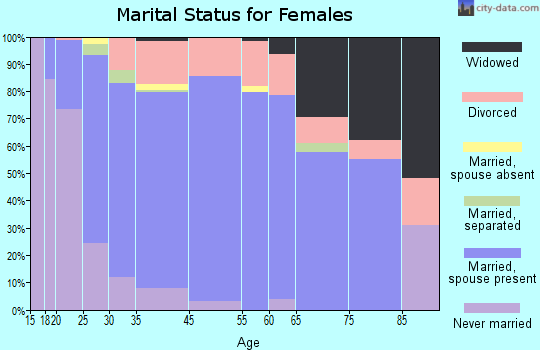 New River marital status for females