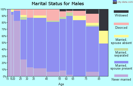 Dyer County marital status for males
