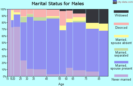 Mason County marital status for males