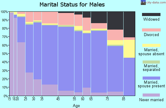 Christian County marital status for males