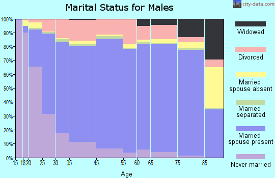 Clay County marital status for males
